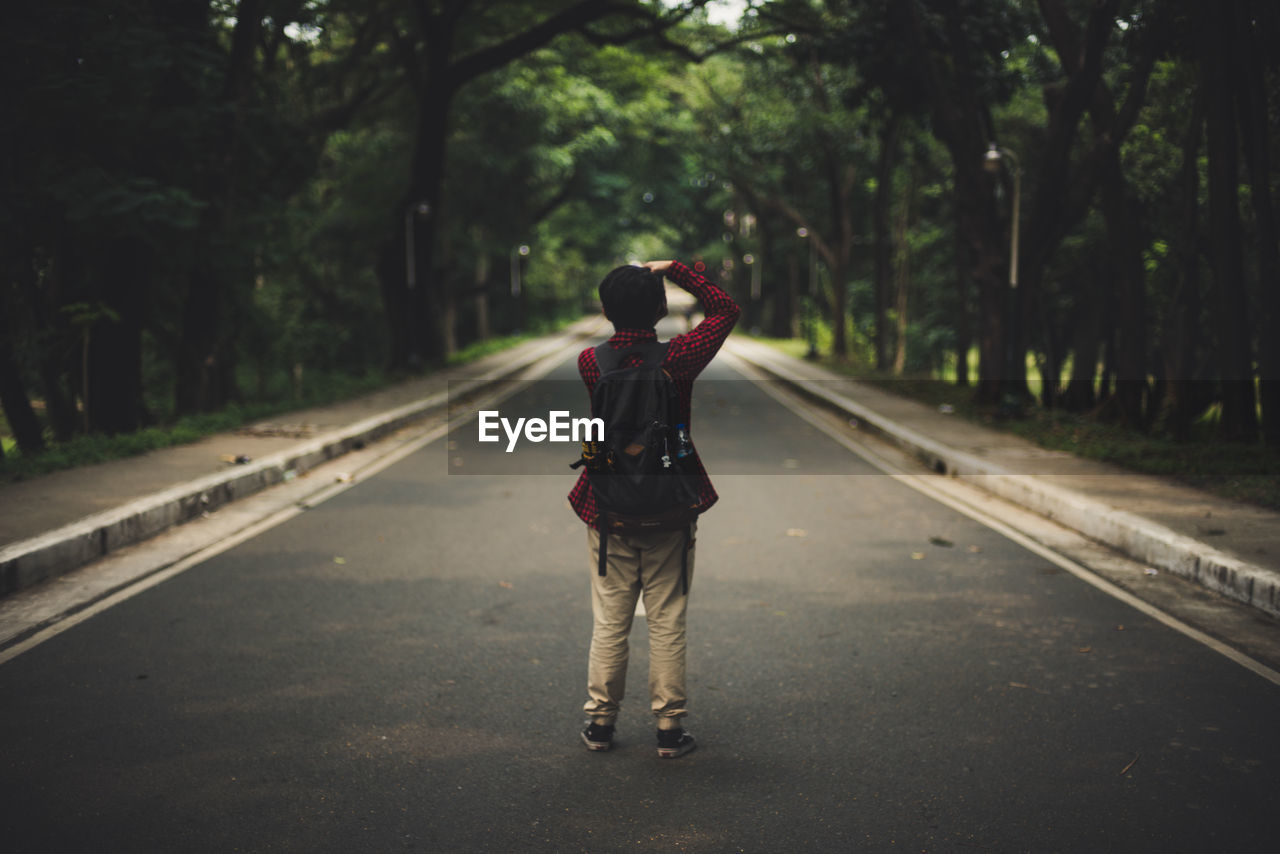 Rear view of person standing on road amidst trees