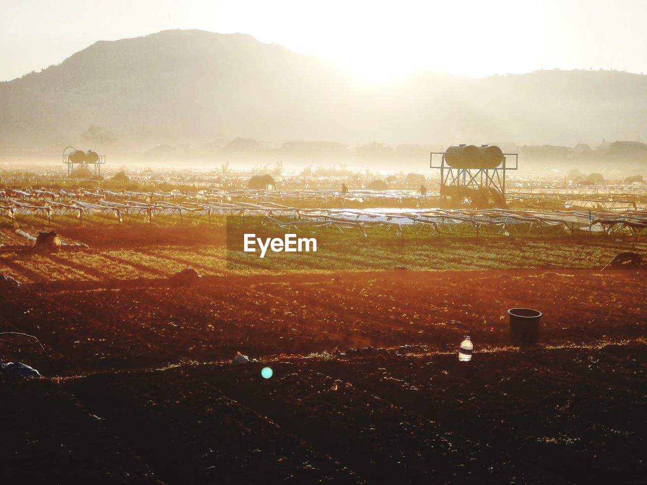 Scenic view of field against sky during sunset