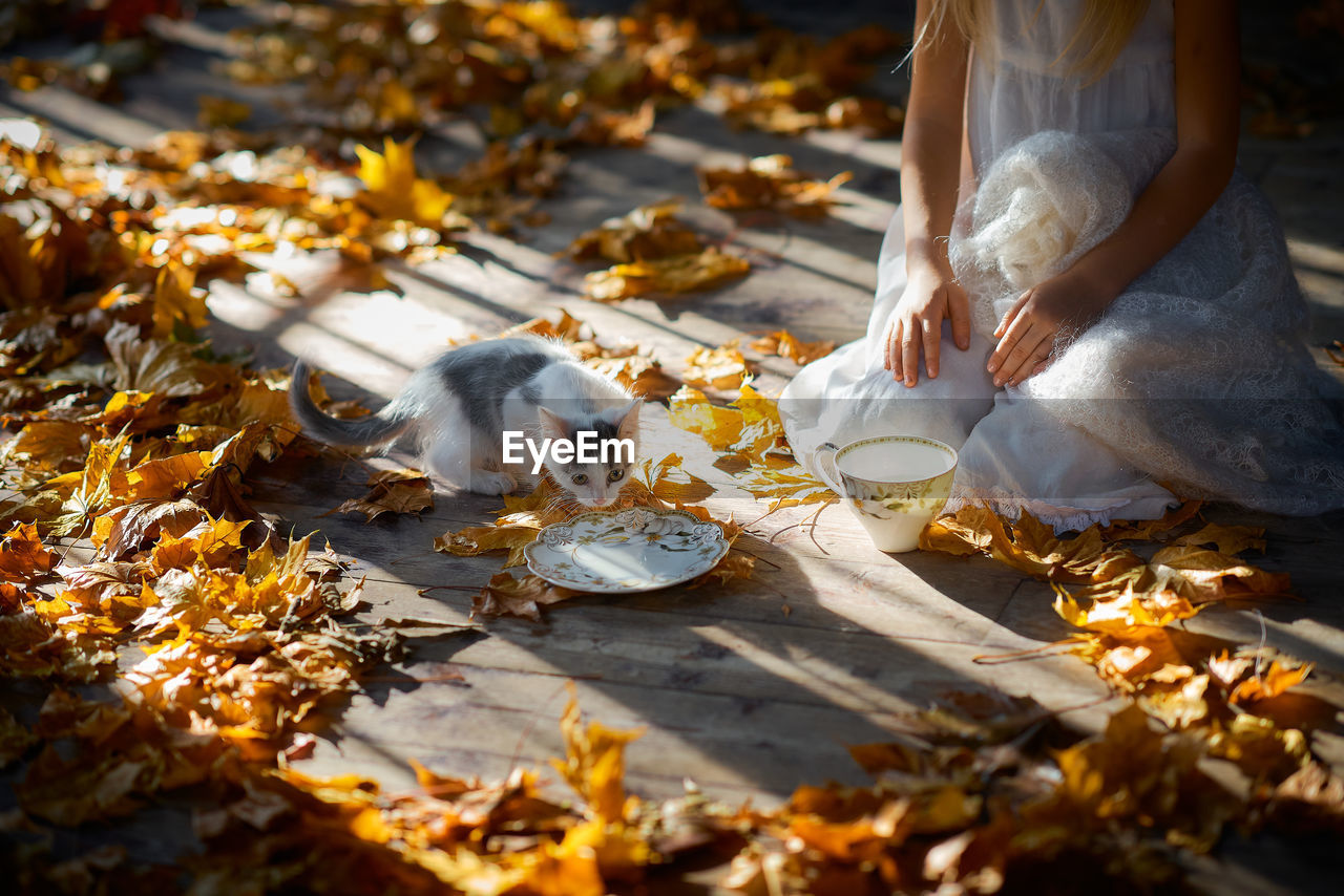 Low section of girl in a white nightgown with autumn leaves. morning light. horizontal. warm colours