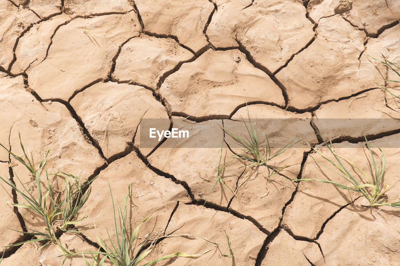 Textures in the arid soil of m'hamid el ghizlane or lamhamid ghozlane oasis  in morocco, africa.