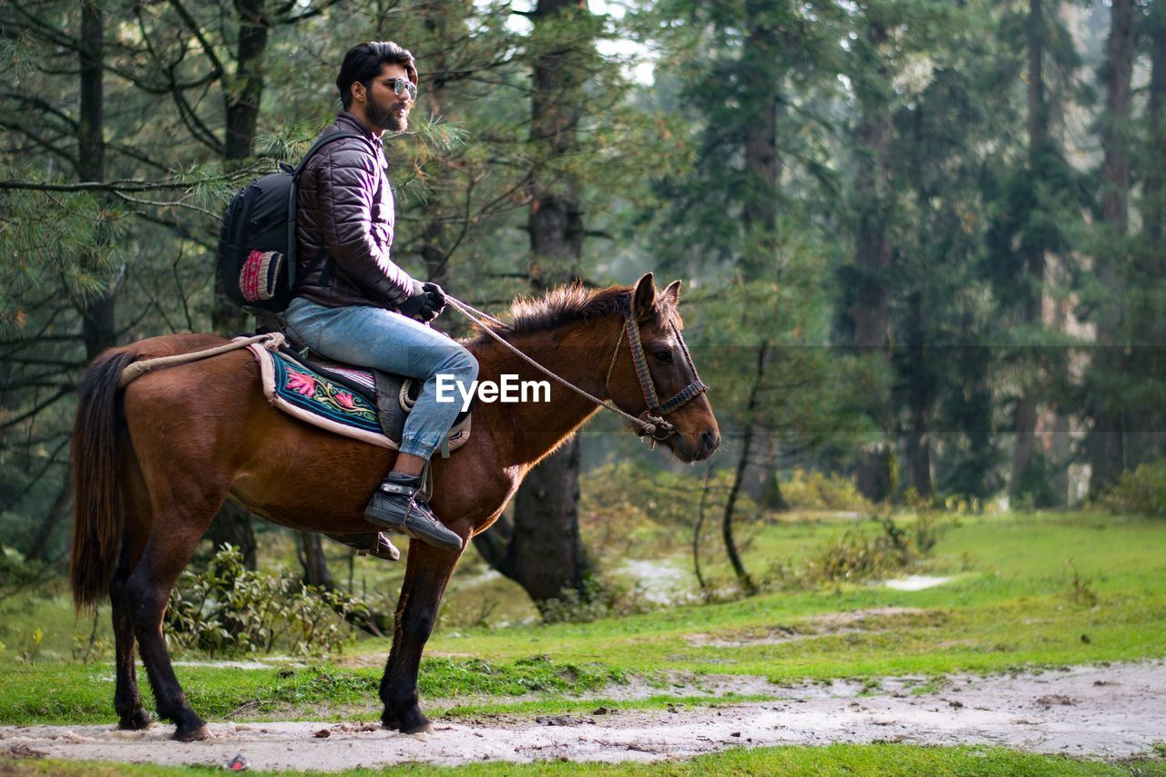 Man riding horse in forest