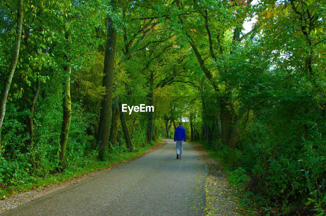 Full length rear view of man walking on road amidst trees in forest