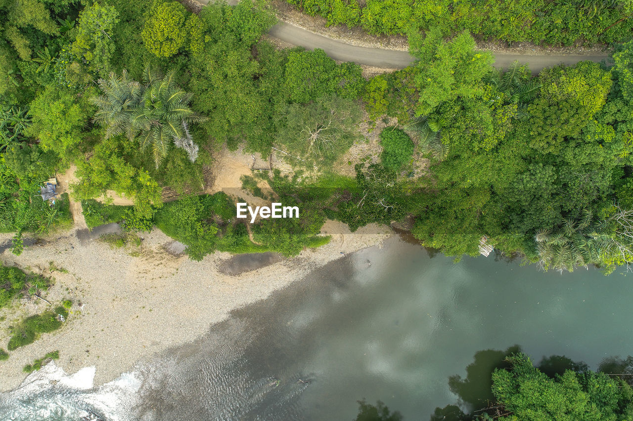 HIGH ANGLE VIEW OF TREES ON RIVERBANK