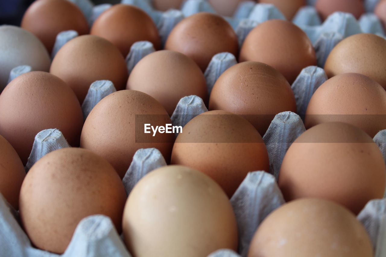 FULL FRAME SHOT OF EGGS IN CONTAINER