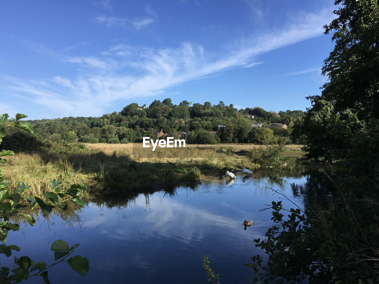 SCENIC VIEW OF LAKE BY TREES AGAINST SKY