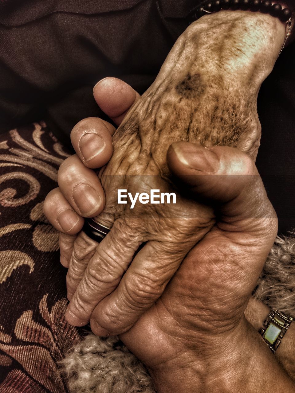 CLOSE-UP OF A HAND HOLDING ANIMAL