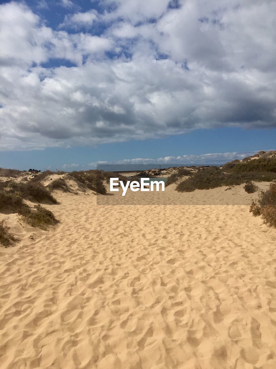 SCENIC VIEW OF SAND DUNES AGAINST SKY