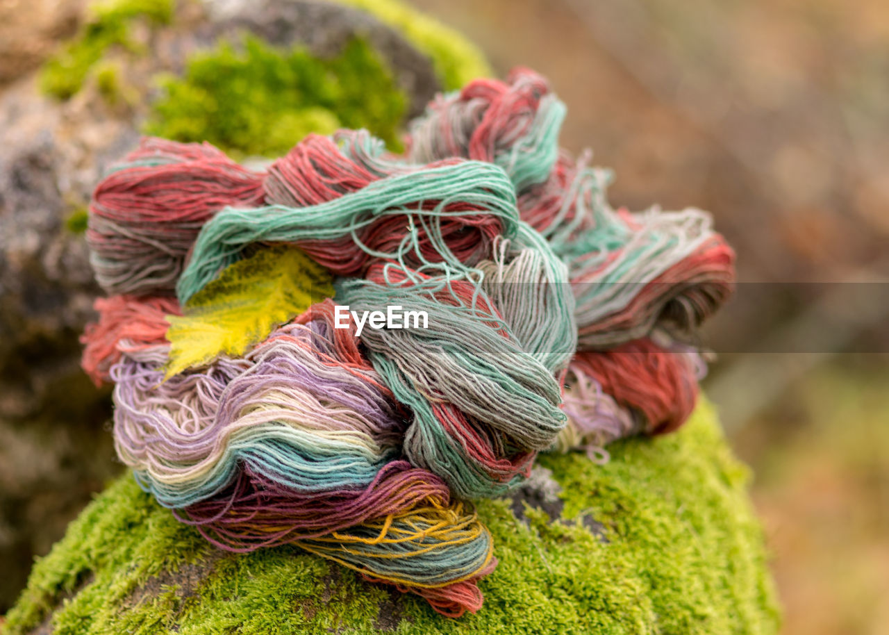 Close-up of ropes