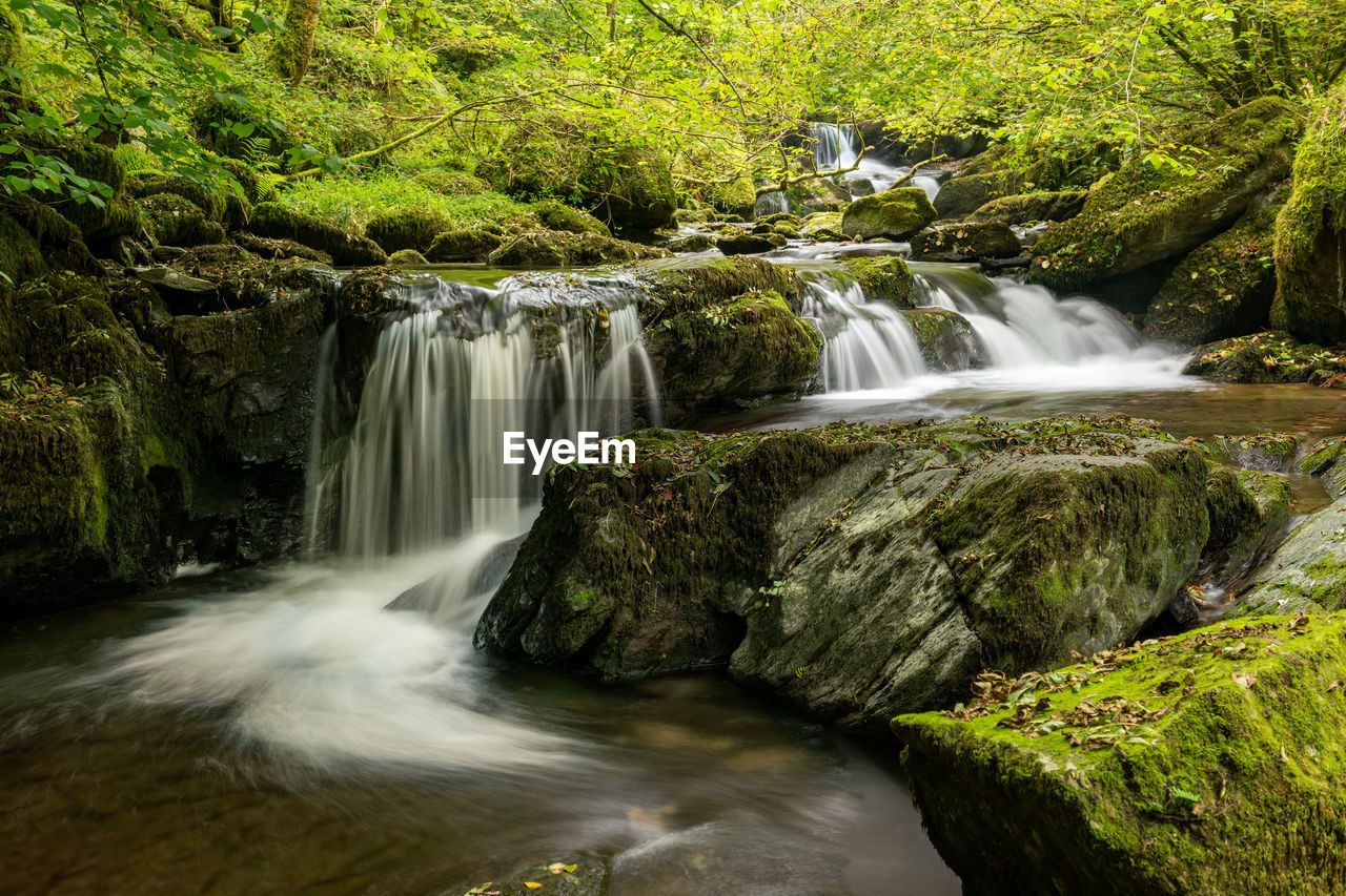 SCENIC VIEW OF WATERFALL