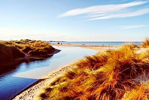 SCENIC VIEW OF SEA