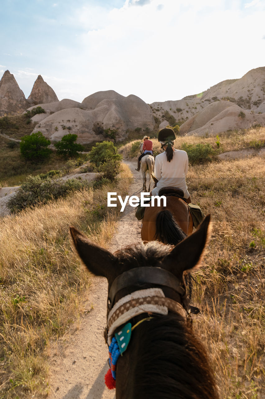 rear view of man riding horse on landscape