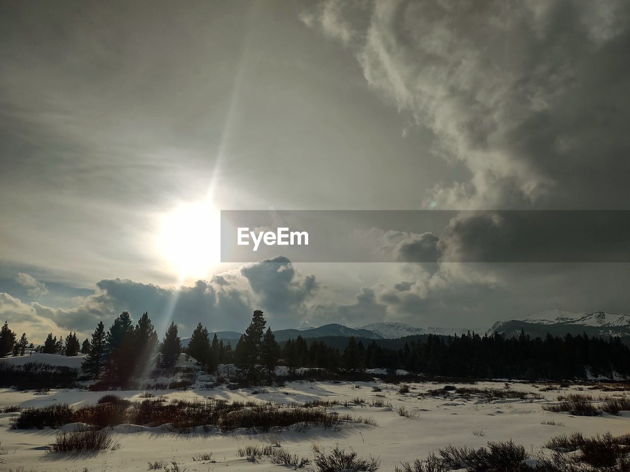 Cloudy snowscape with storm clouds on the horizon.  winter sky, christmas tree hunting.