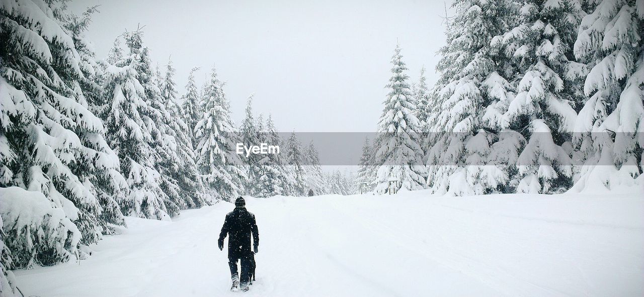 Rear view of people standing on snow covered landscape