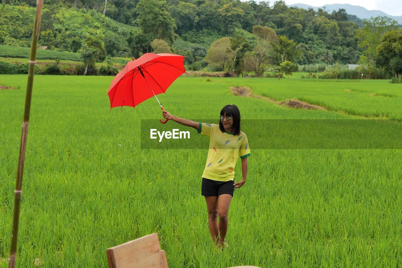 Woman holding red umbrella while standing at rice paddy