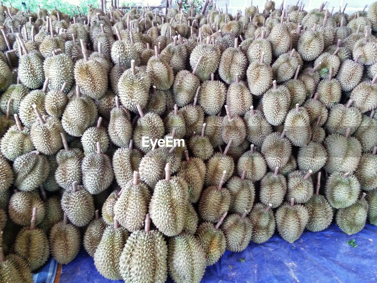 Durian fruit.