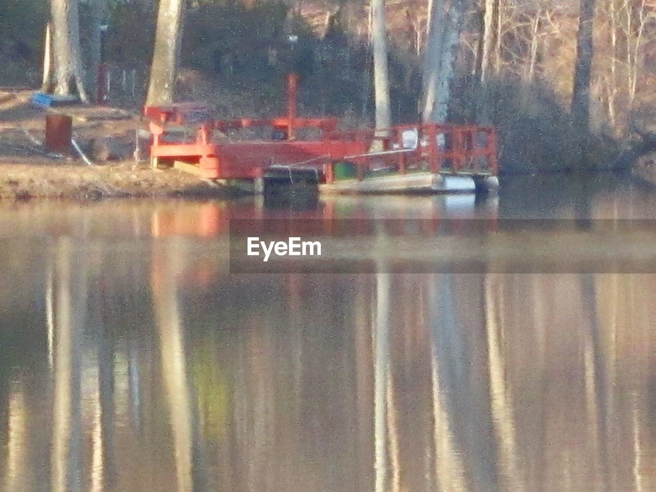 REFLECTION OF TREES IN WATER ON WATER