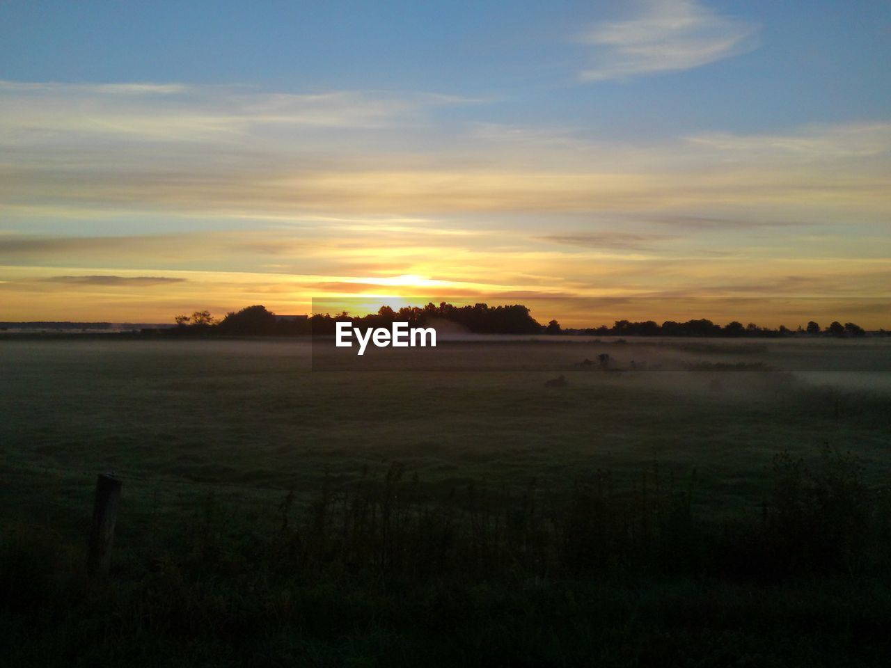 View of agriculture field at sunset