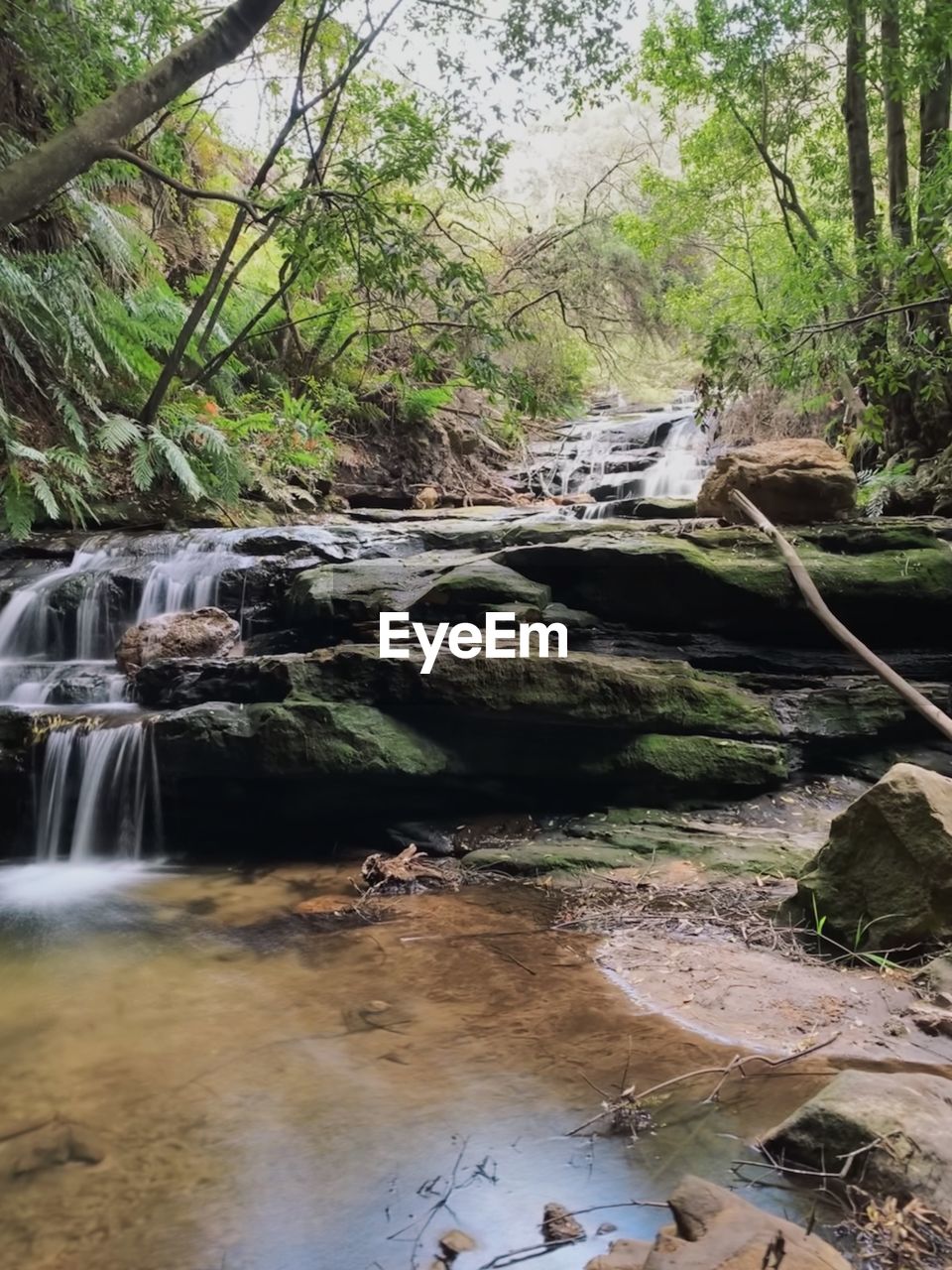 WATERFALL IN FOREST