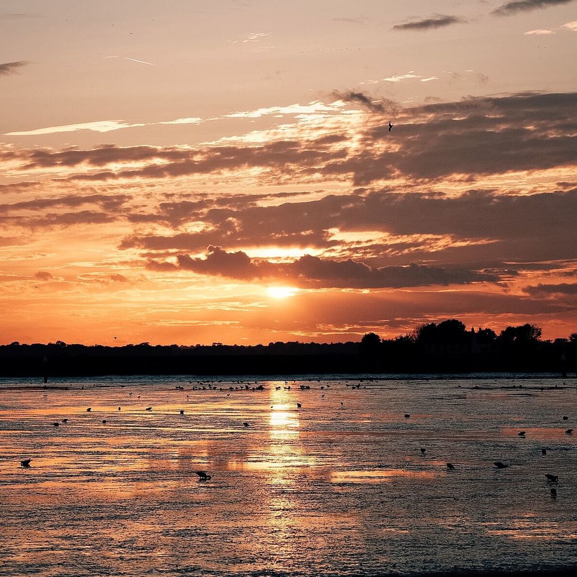 View of calm lake at sunset