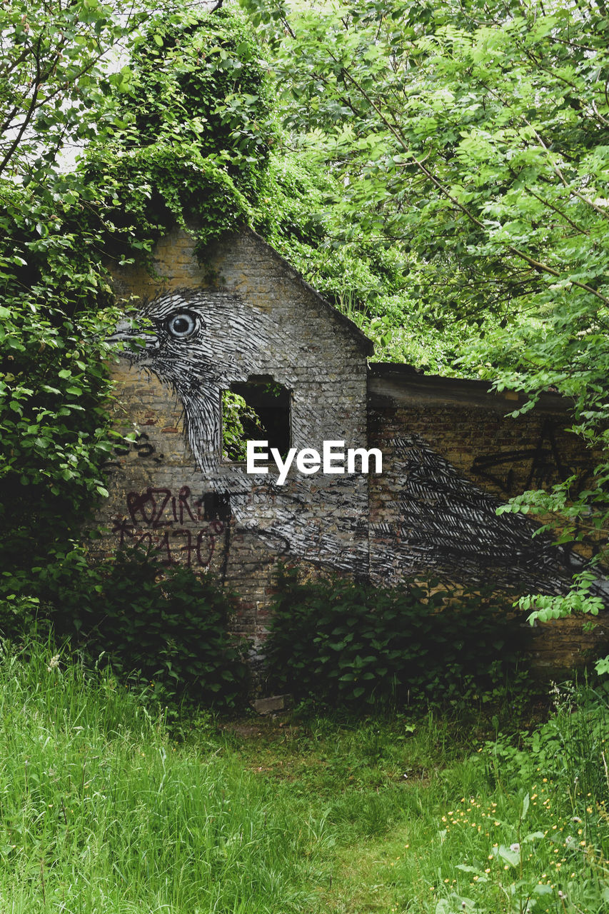 STONE WALL IN FIELD