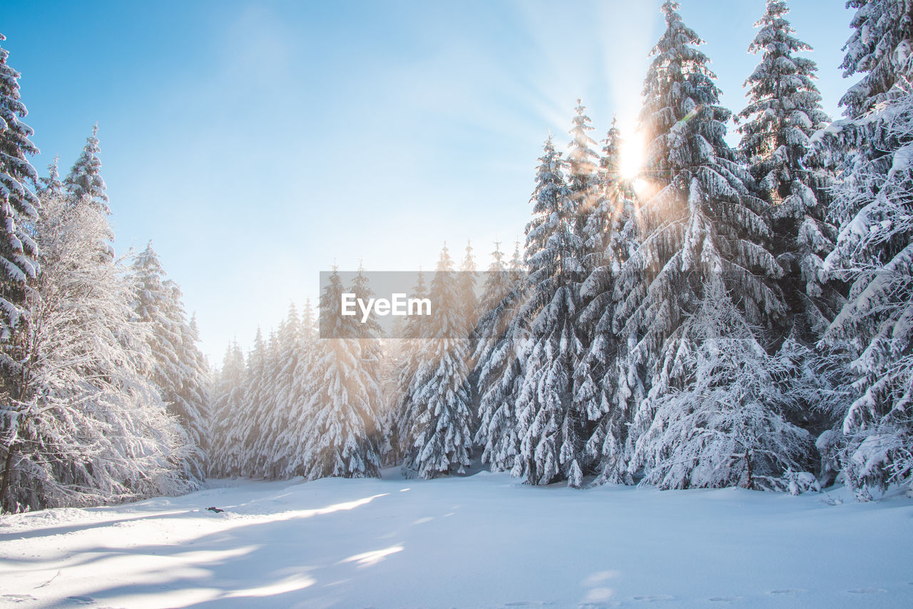 panoramic view of snow covered landscape against sky