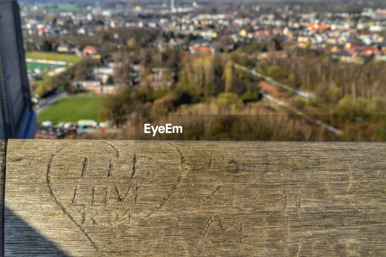 Detail shot of carving on wood against trees