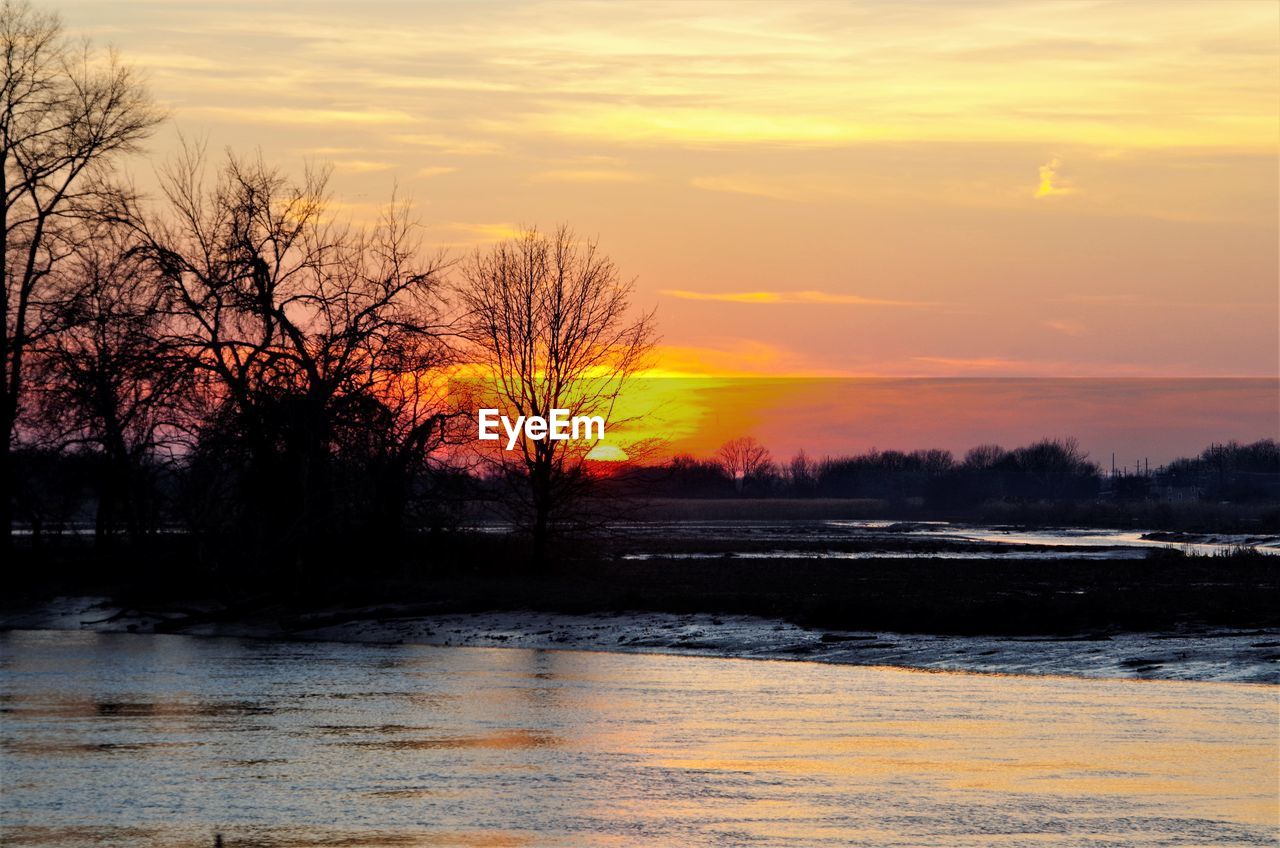 SILHOUETTE OF BARE TREES DURING SUNSET