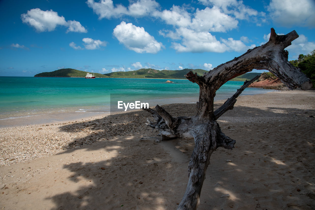 land, water, sky, sea, beach, body of water, shore, nature, tree, ocean, sand, scenics - nature, cloud, beauty in nature, travel destinations, coast, environment, tranquility, travel, landscape, plant, vacation, tropical climate, no people, tranquil scene, driftwood, rock, blue, holiday, tourism, island, outdoors, trip, coastline, day, wave, idyllic, sunlight, tropics, horizon, non-urban scene, summer, azure