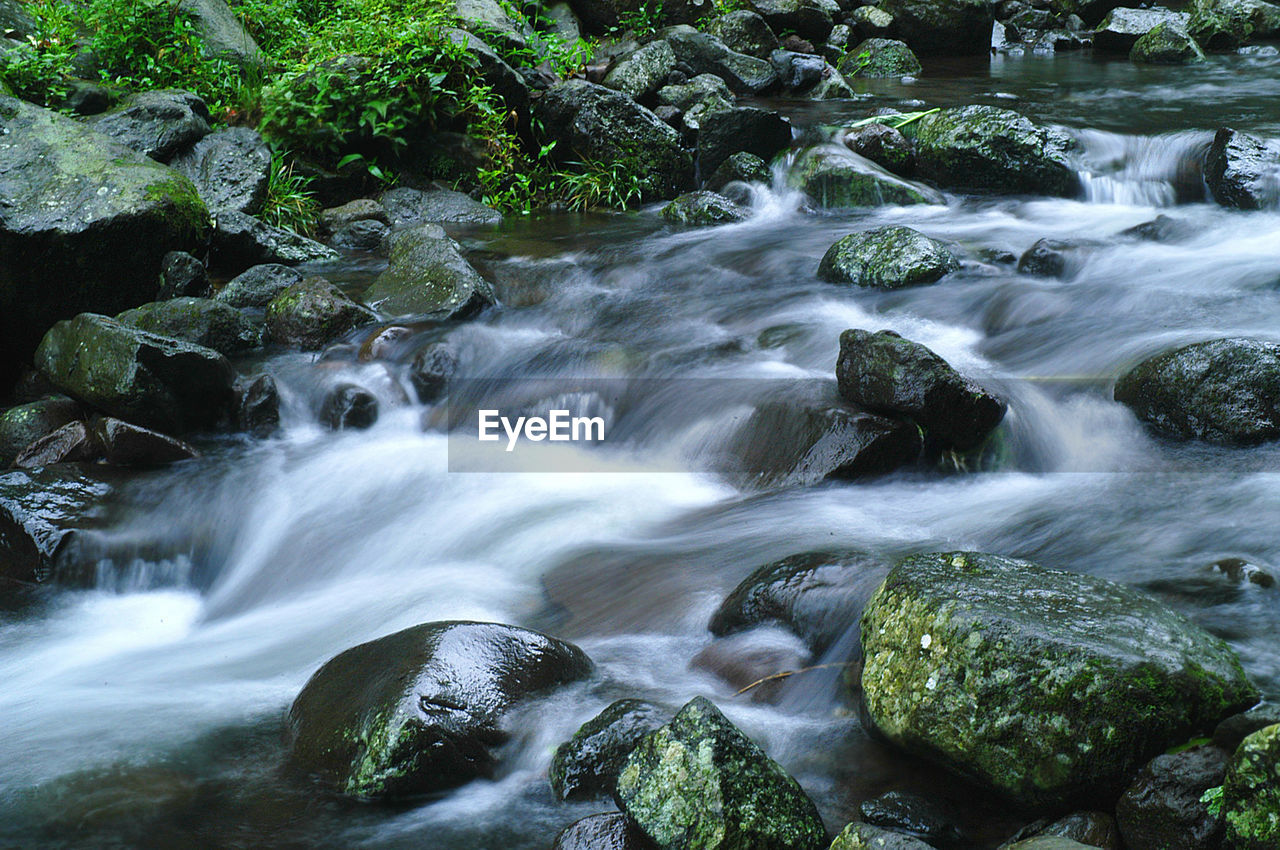 Stream flowing through rocks in forest