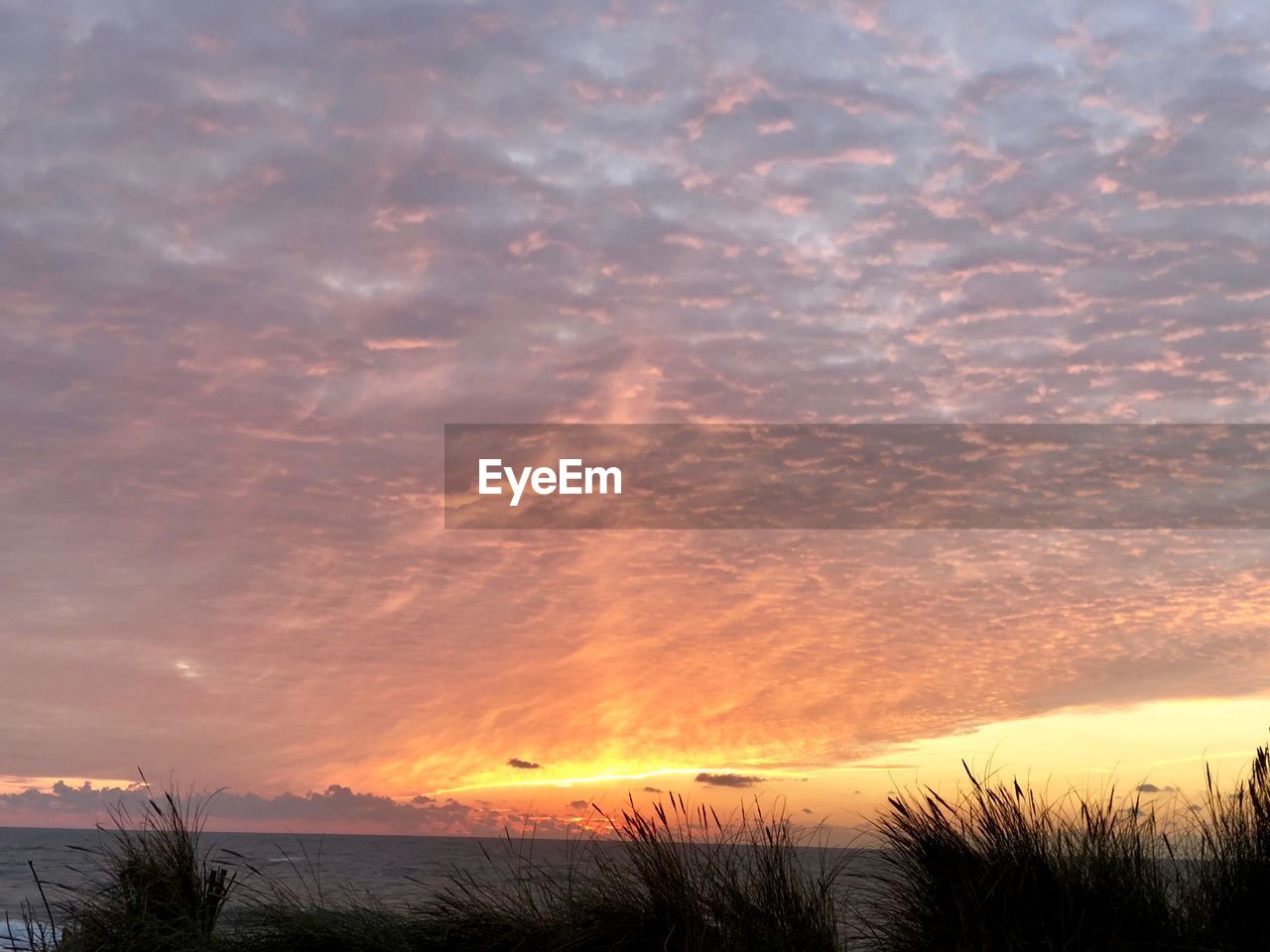 SCENIC VIEW OF DRAMATIC SKY OVER LANDSCAPE