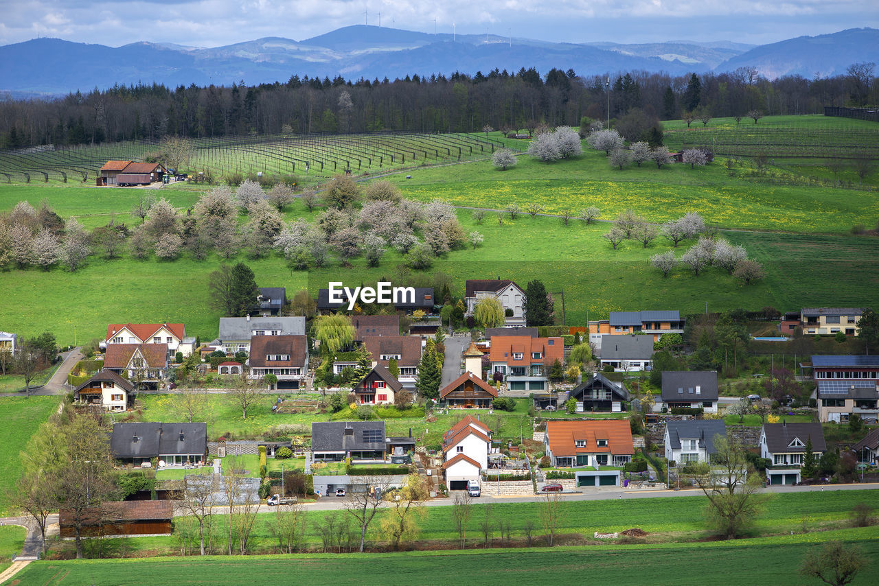 Scenic view of agricultural field by houses and trees