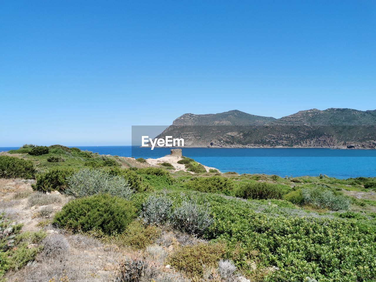 Scenic view of porto ferro la torretta against clear blue sky