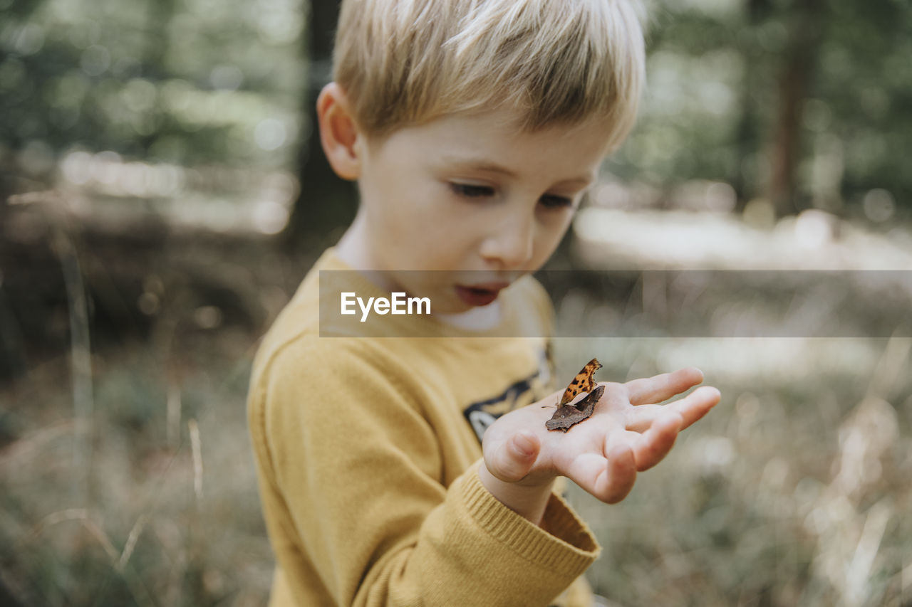Surprised boy looking at butterfly on palm of hand