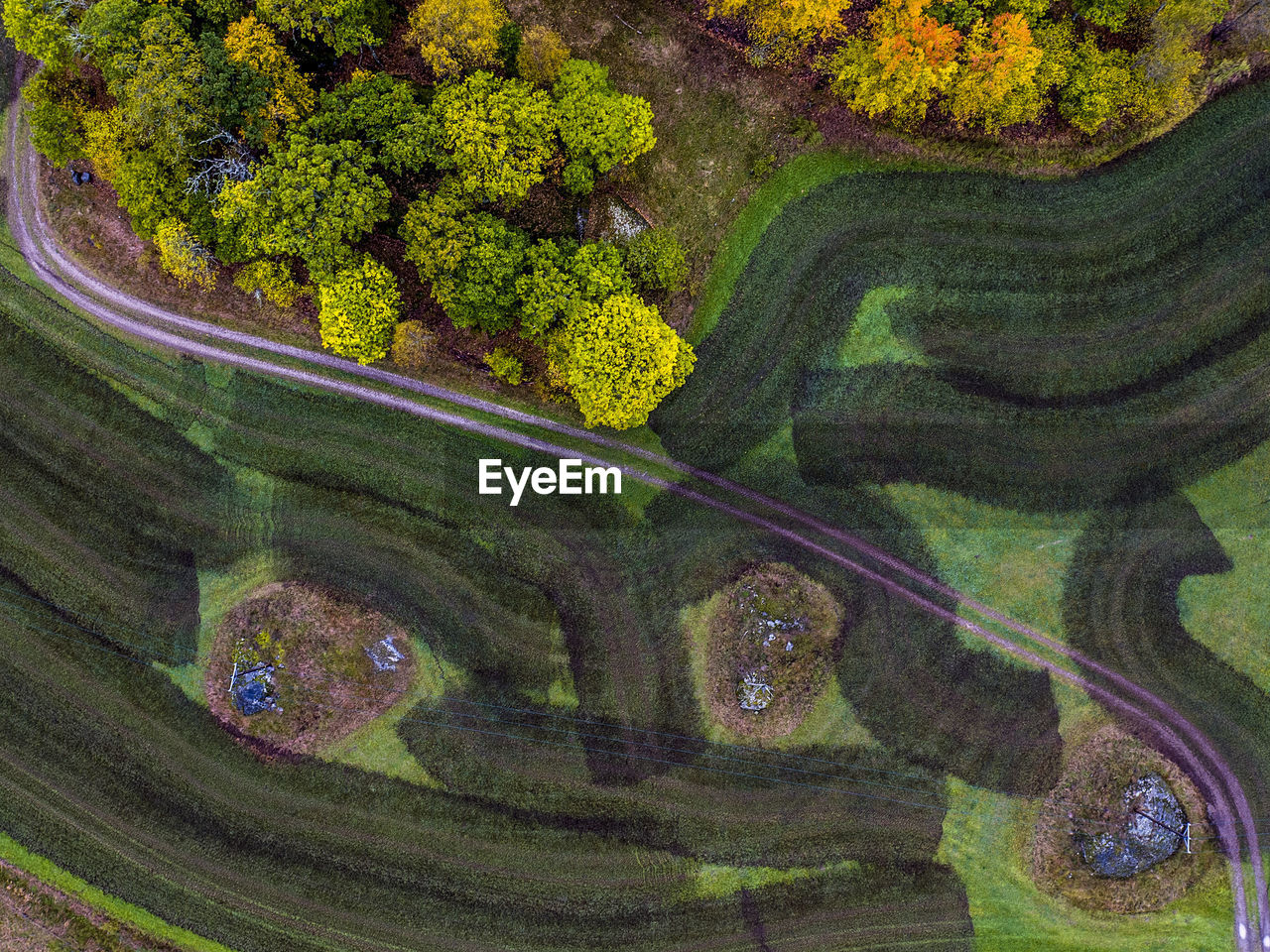 Aerial view of grassy landscape