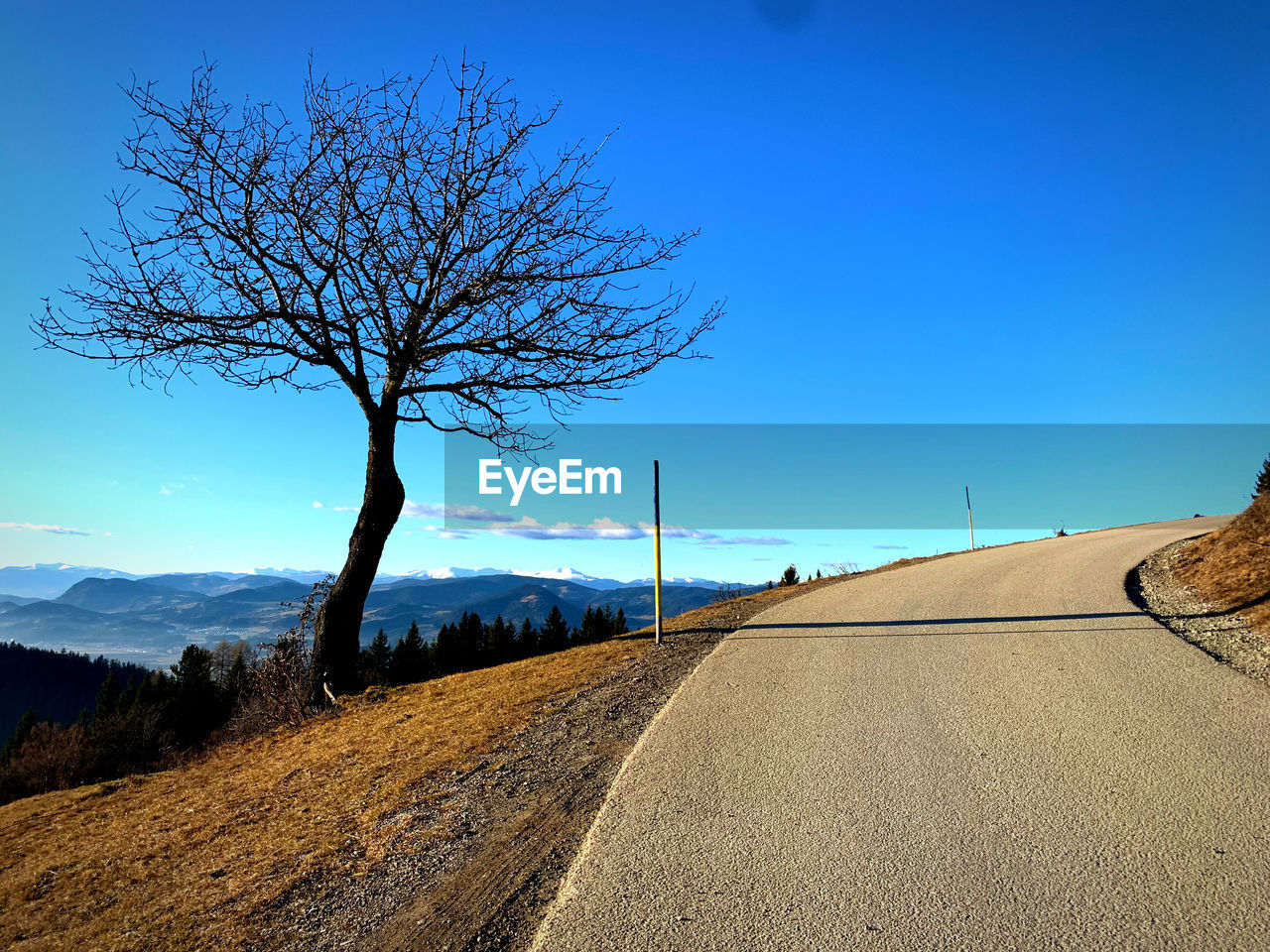 Empty road along bare trees against clear blue sky