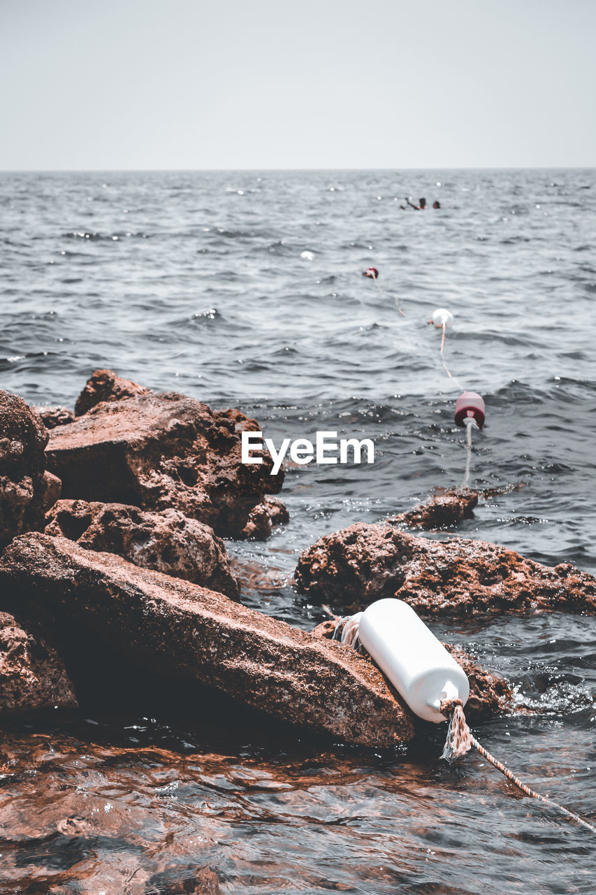 VIEW OF SEAGULLS ON ROCK