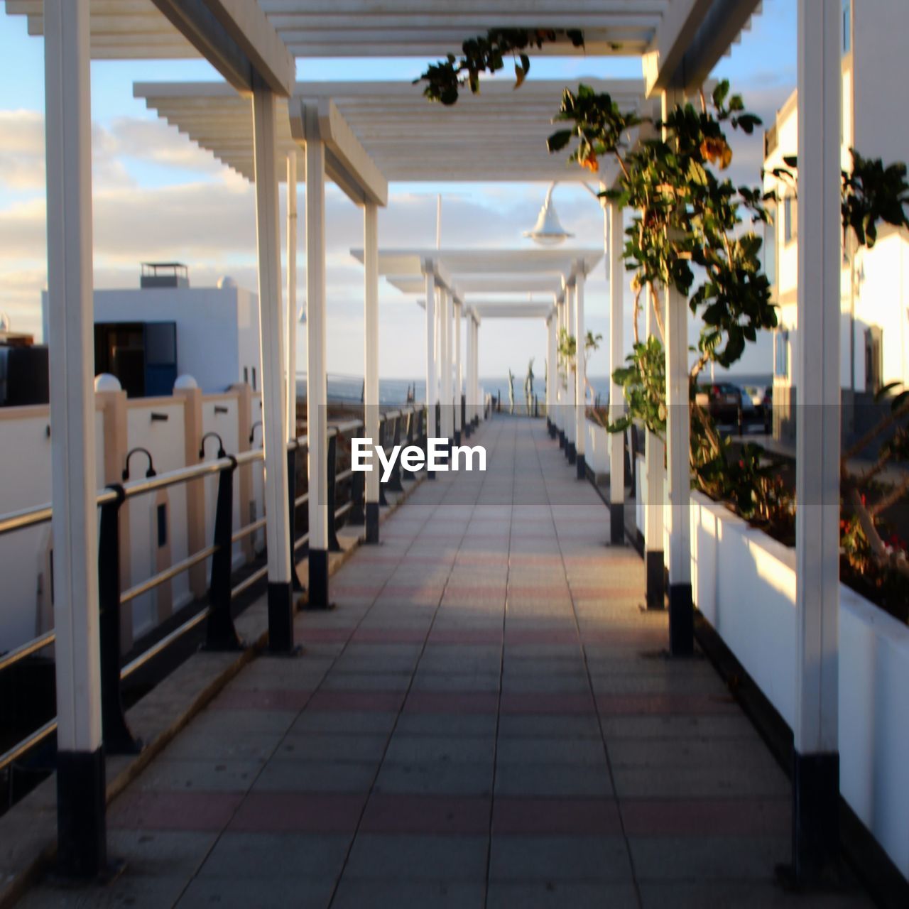 VIEW OF EMPTY CORRIDOR OF BUILDING