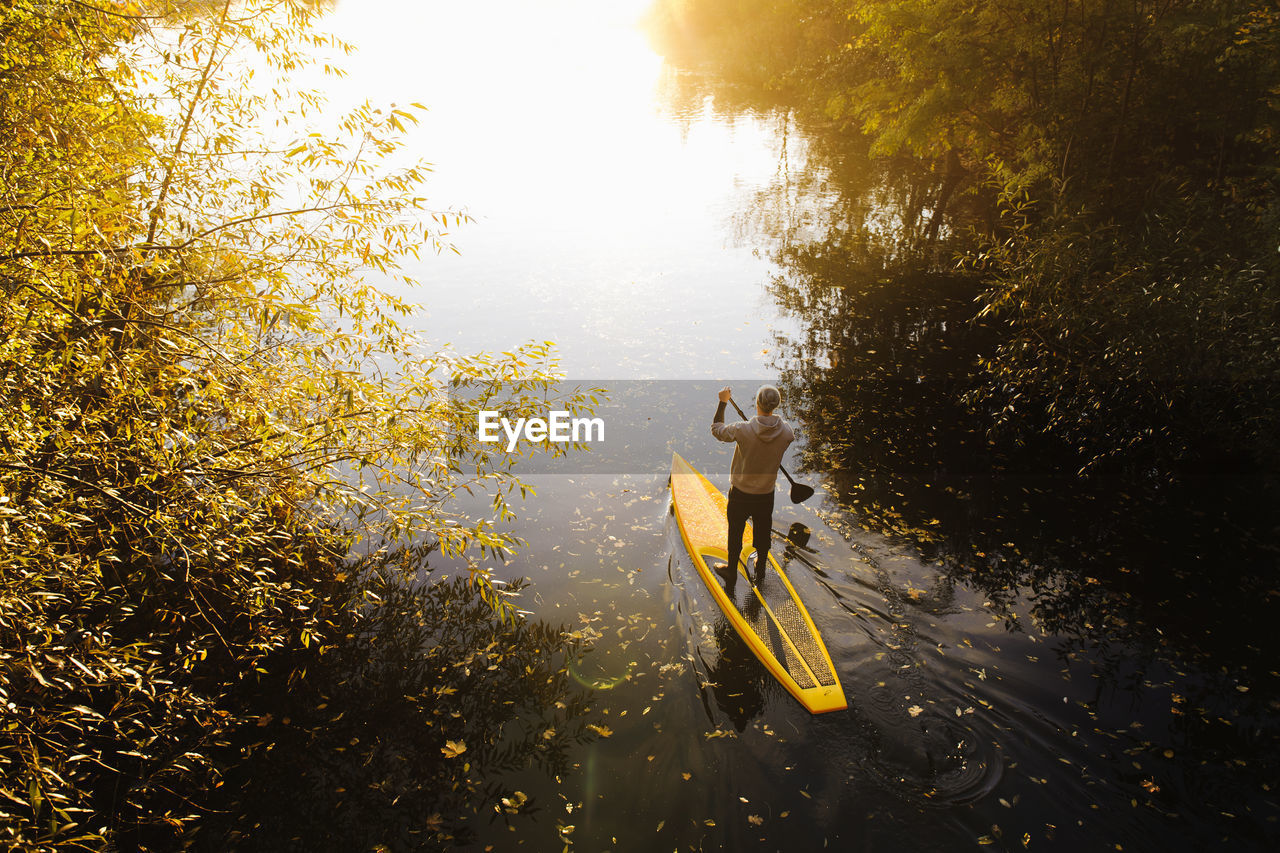 Man rowing paddle board in water, elevated view