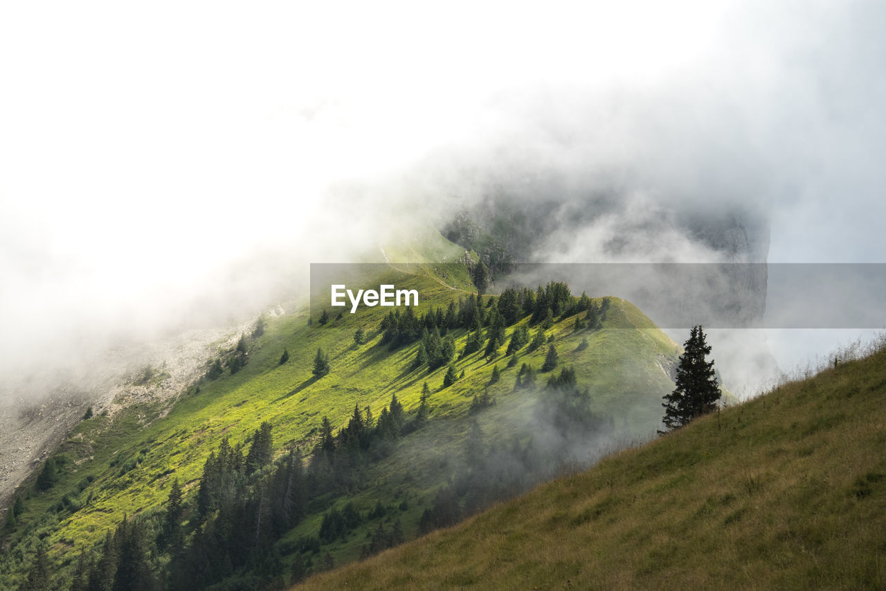 Scenic view of landscape against cloudy sky