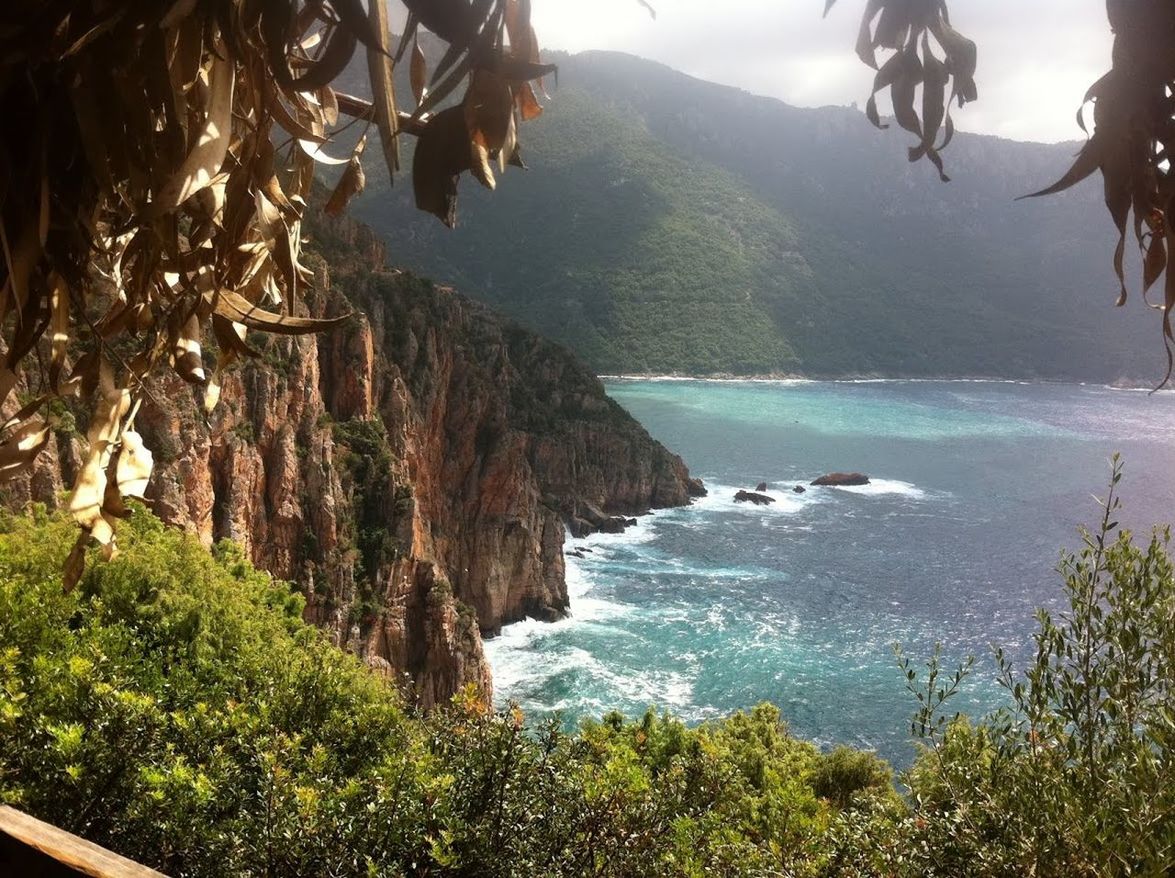 SCENIC VIEW OF BEACH