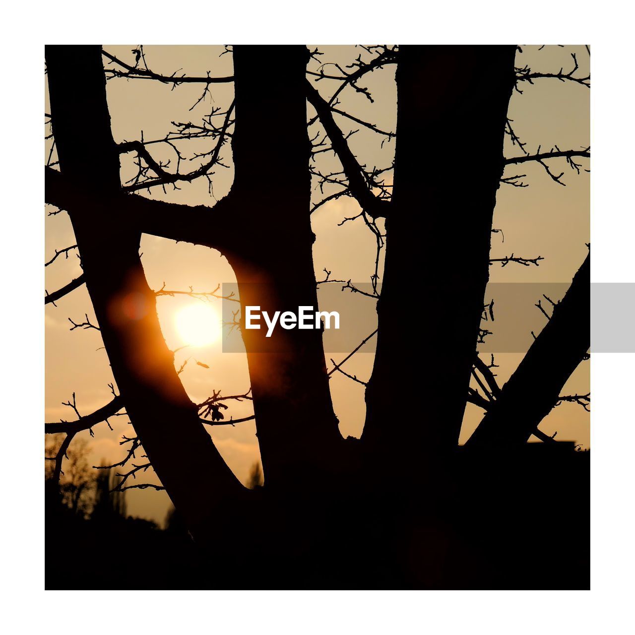 font, silhouette, text, nature, no people, poster, sky