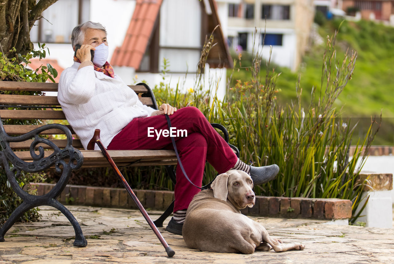 DOG SITTING ON CHAIR AT HOME