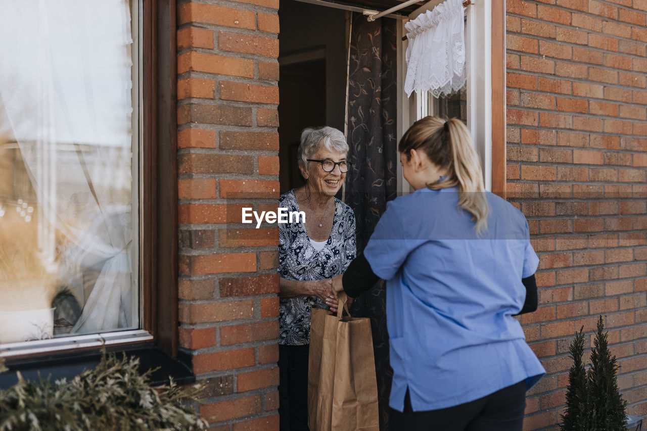 Home caretaker delivering groceries to senior woman