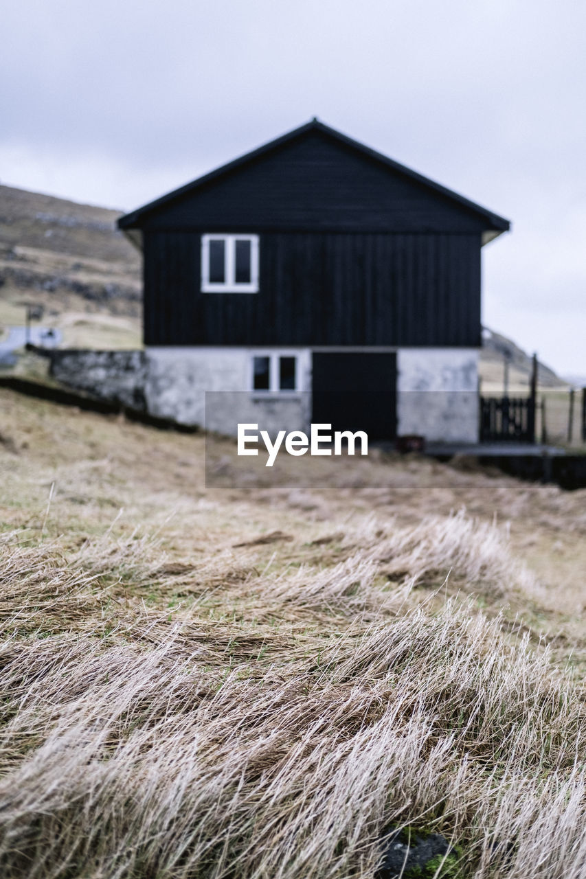 Closeup of dry grass with house blurred in backdrop, faroe islands