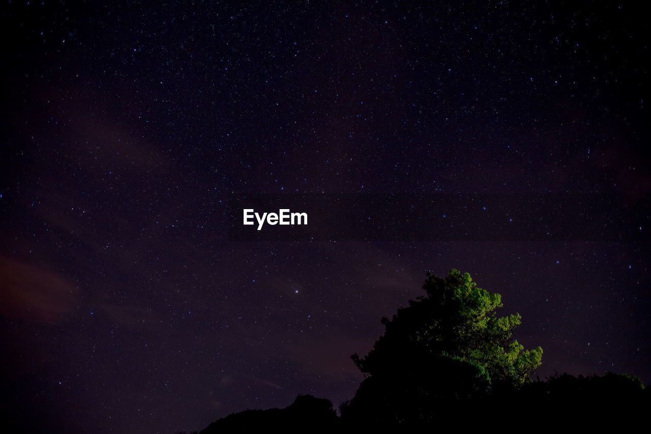 Low angle view of silhouette trees against star field at night