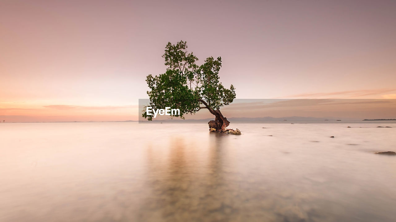 Scenic view of sea against sky at sunset