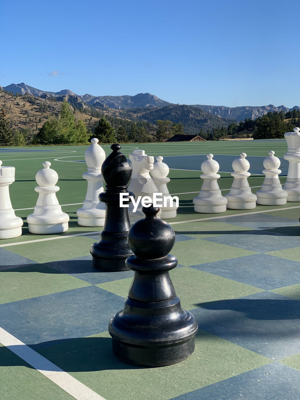 FULL FRAME SHOT OF CHESS PIECES