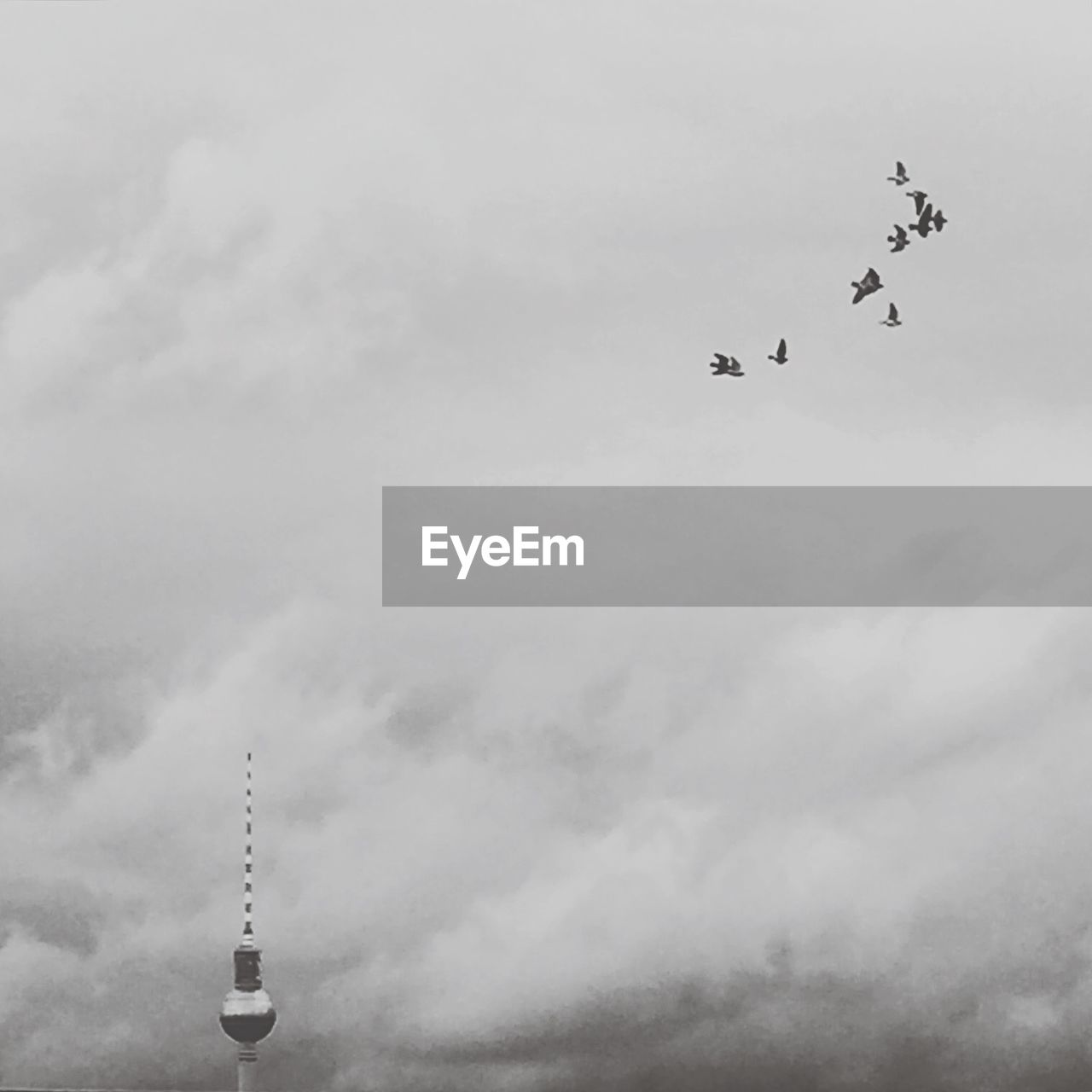 Birds and fernsehturm against cloudy sky