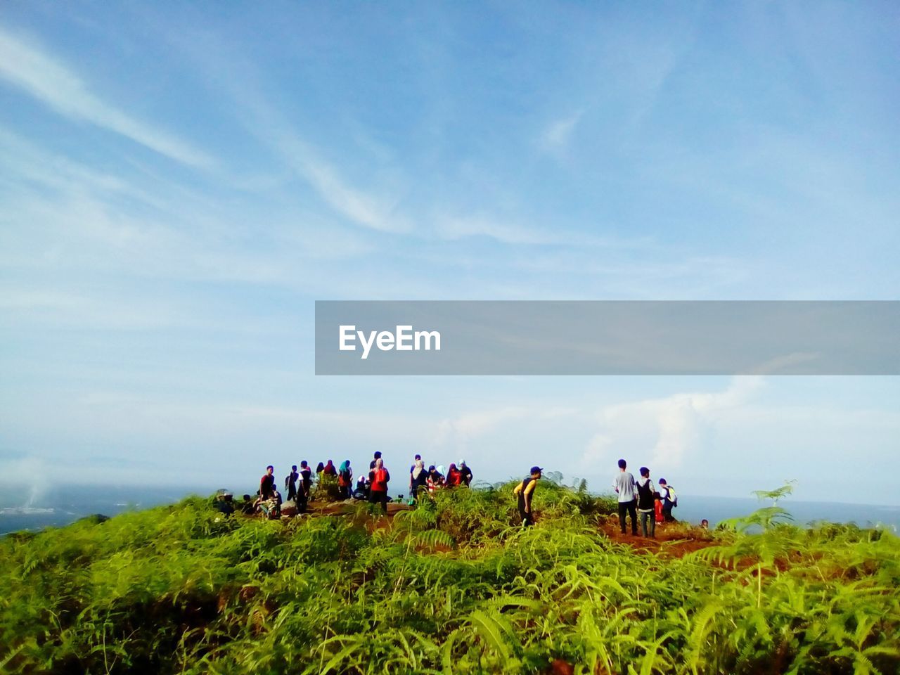 People by plants on cliff against sky