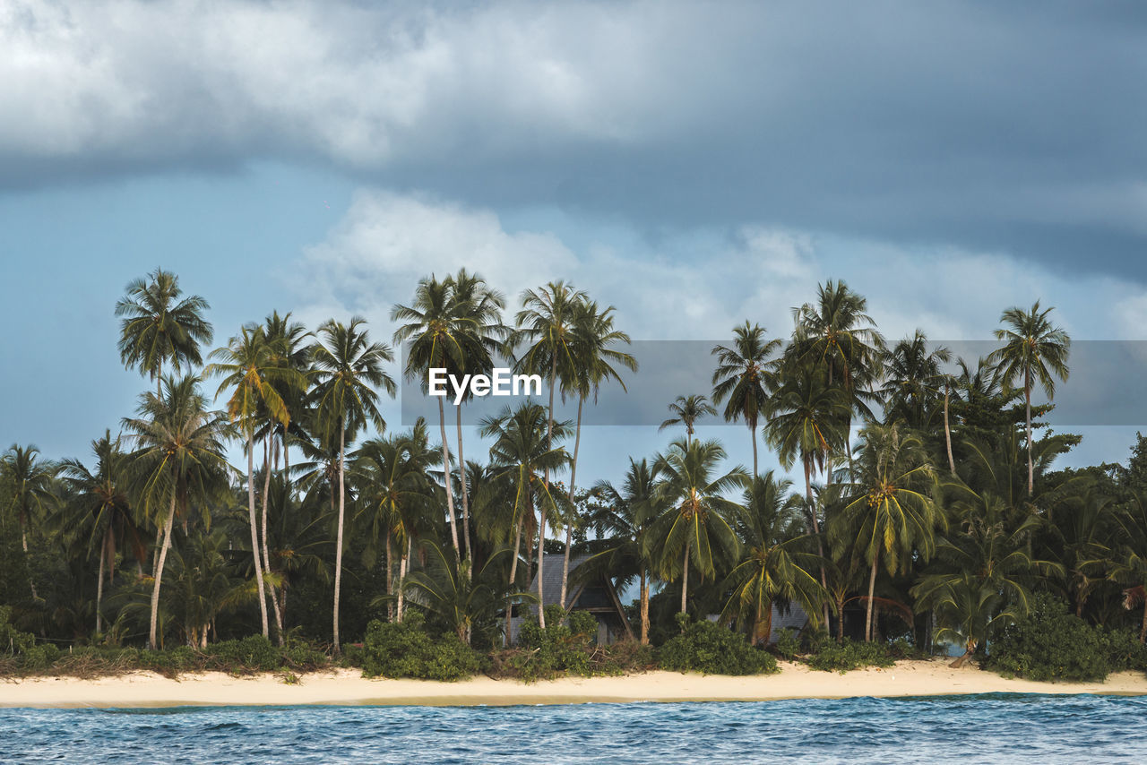 tropical climate, palm tree, tree, water, sea, land, sky, cloud, plant, coconut palm tree, beach, nature, coast, environment, shore, ocean, beauty in nature, island, scenics - nature, travel, travel destinations, landscape, tropical tree, tranquility, vacation, holiday, no people, outdoors, tropics, trip, body of water, tourism, bay, sand, idyllic, day, tranquil scene, coastline, non-urban scene